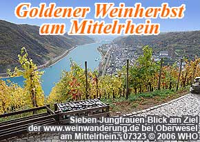 Weinwanderung am Rhein mit Weinprobe oder Weinverkostung im Weinberg in den Weinbaugebieten Mittelrhein, Rheingau, Rheinhessen und Pfalz.